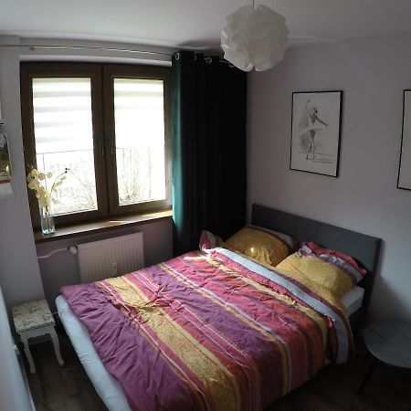 Appartement Apartament Bieszczady à Ustrzyki Dolne Extérieur photo