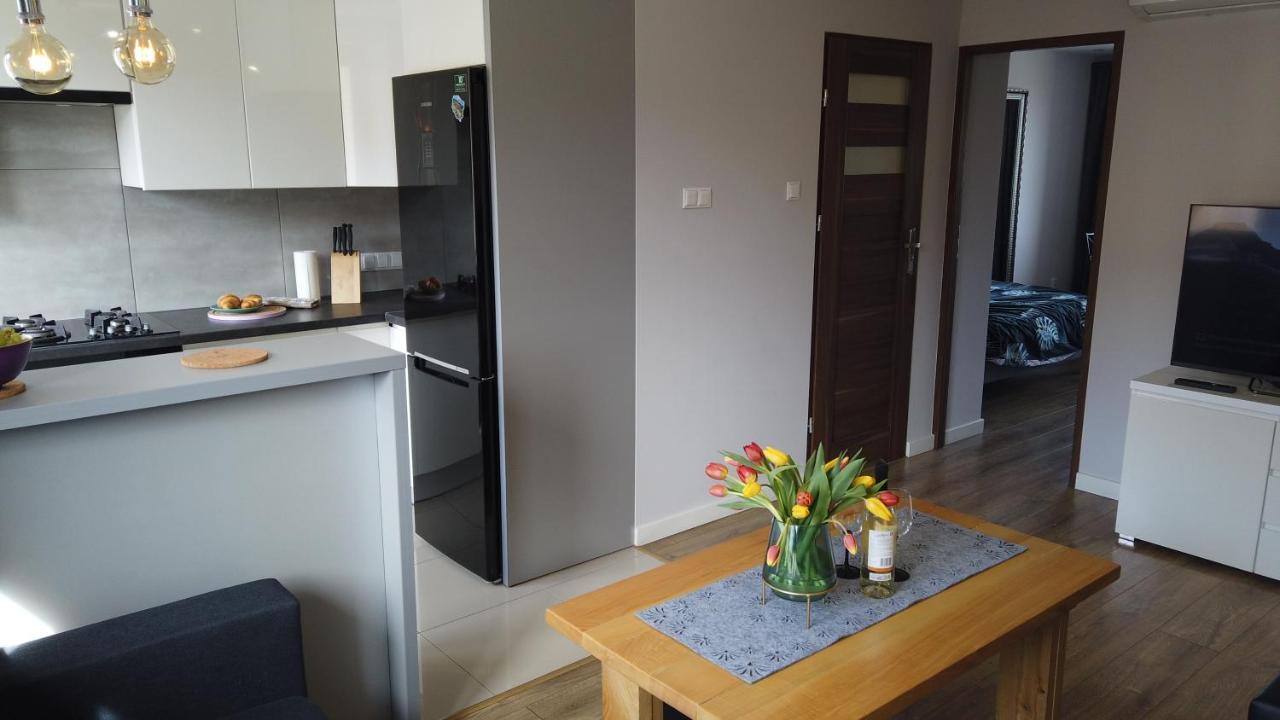 Appartement Apartament Bieszczady à Ustrzyki Dolne Extérieur photo