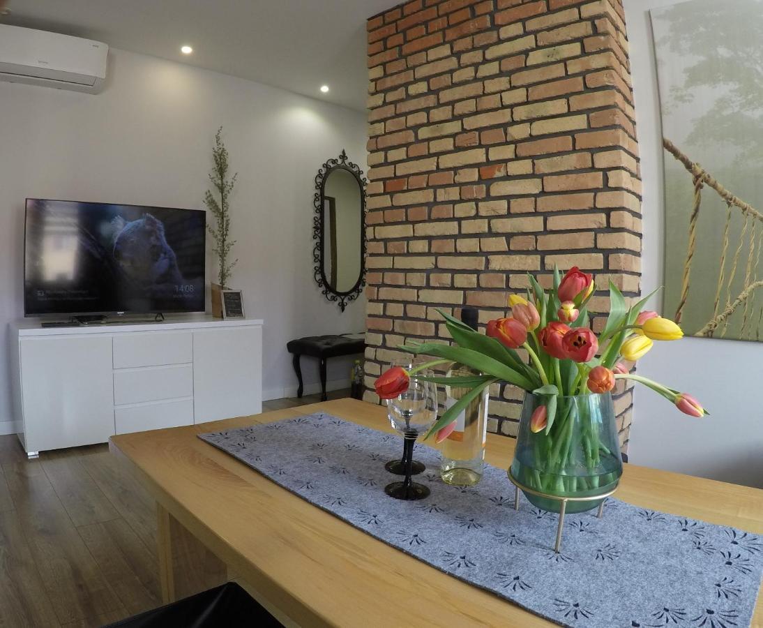 Appartement Apartament Bieszczady à Ustrzyki Dolne Extérieur photo