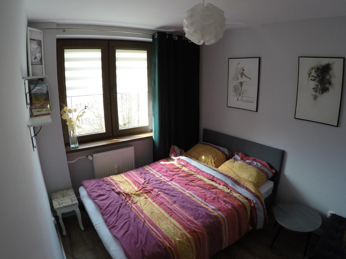 Appartement Apartament Bieszczady à Ustrzyki Dolne Extérieur photo
